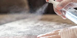 Fabric protection for couch applied by Chicago cleaning professional.