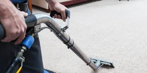 how much is carpet cleaning