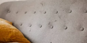 How Much Is Upholstery Cleaning