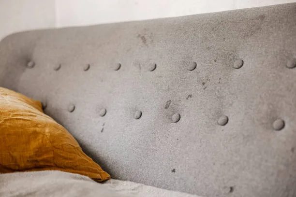 How Much Is Upholstery Cleaning